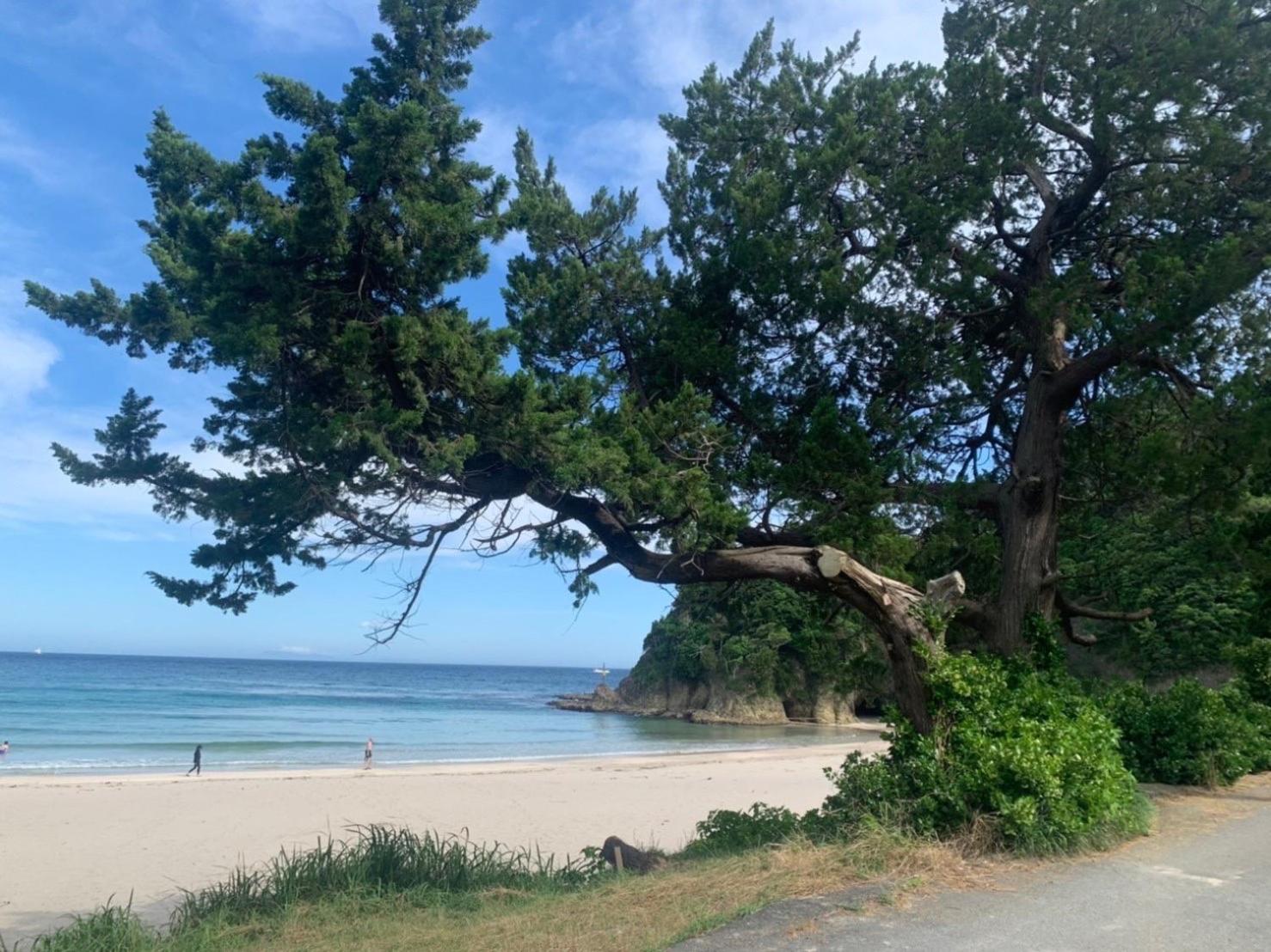 貸別荘吉佐美苑 Shimoda  Exterior foto